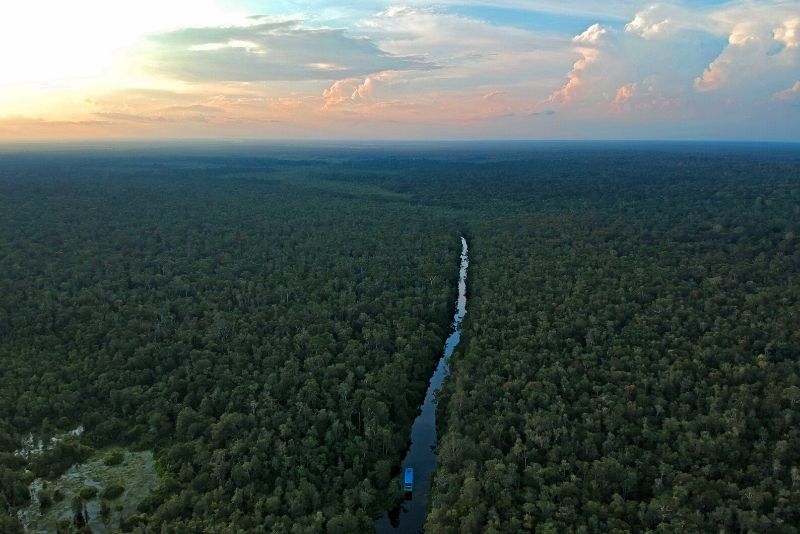 Tanjung Puting National Park, Indonesia - best national parks in the world