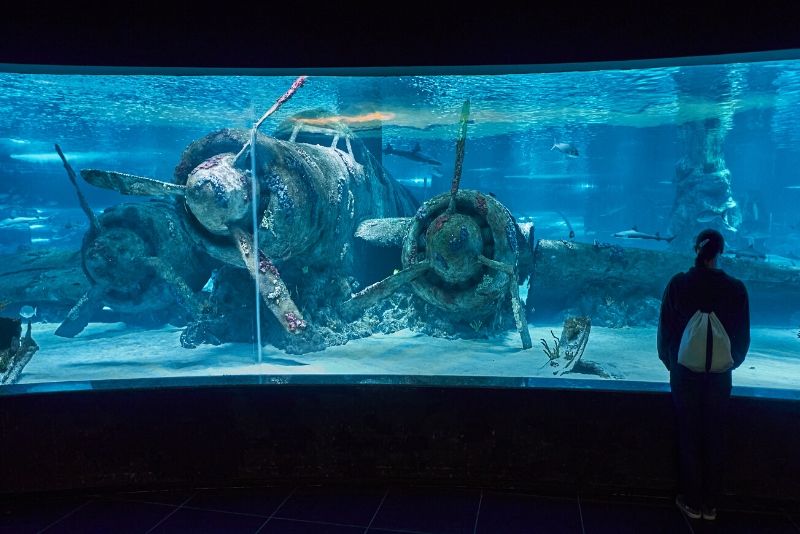 The Biggest Aquariums In The World - WorldAtlas