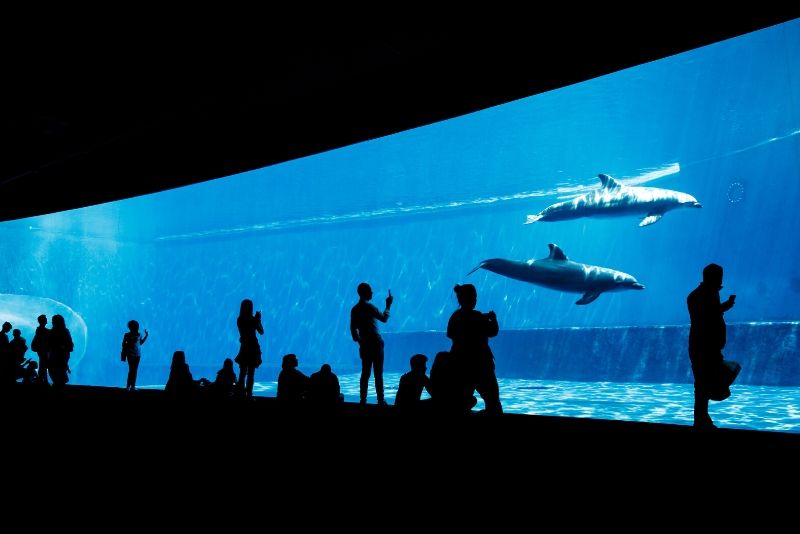 Aquarium of Genoa, Italy - #4 best aquariums in the world