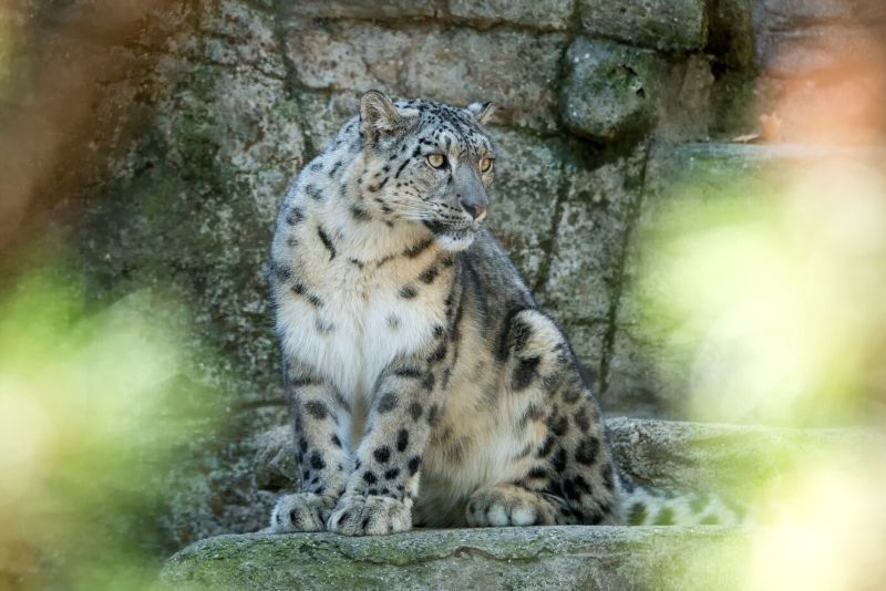 Basel Zoo, Switzerland