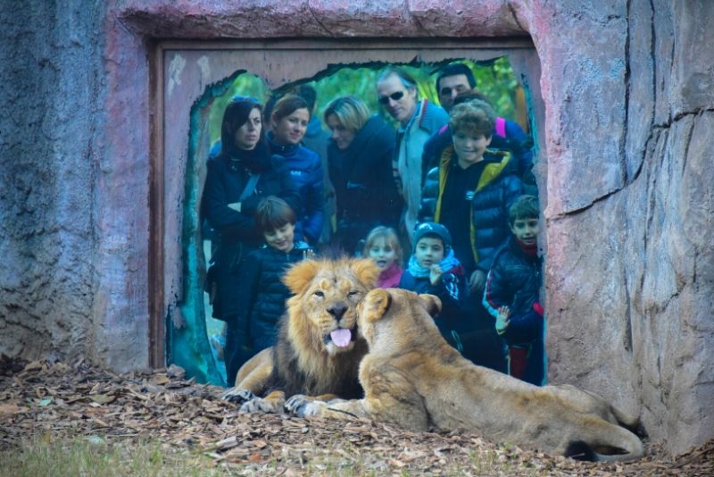 Bioparco Zoo, Italy