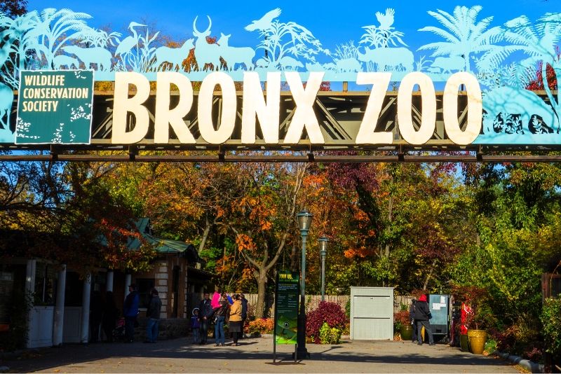Bronx Zoo, USA