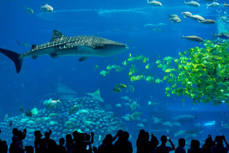 Chimelong Ocean Kingdom, China - #9 best aquariums in the world