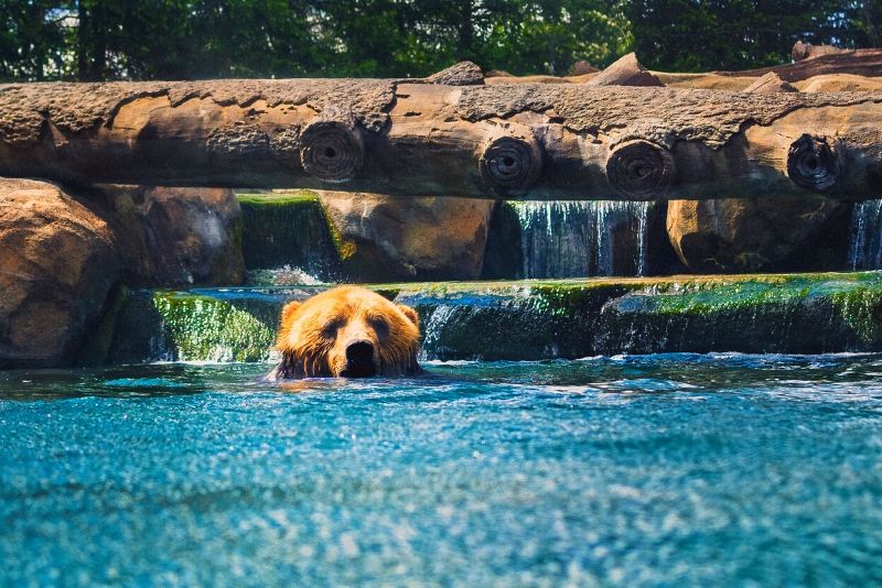 Columbus Zoo And Aquarium, USA