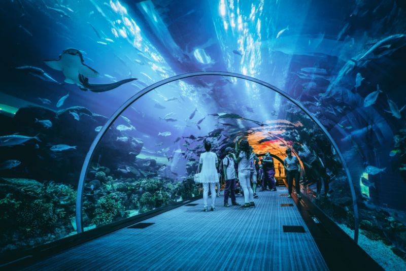 50 Best Aquariums in the World 2024 - TourScanner