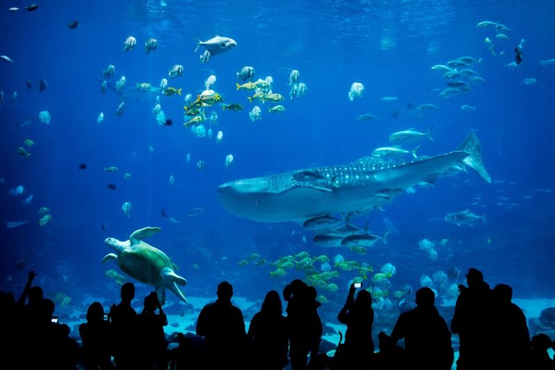 The State's Largest Aquarium