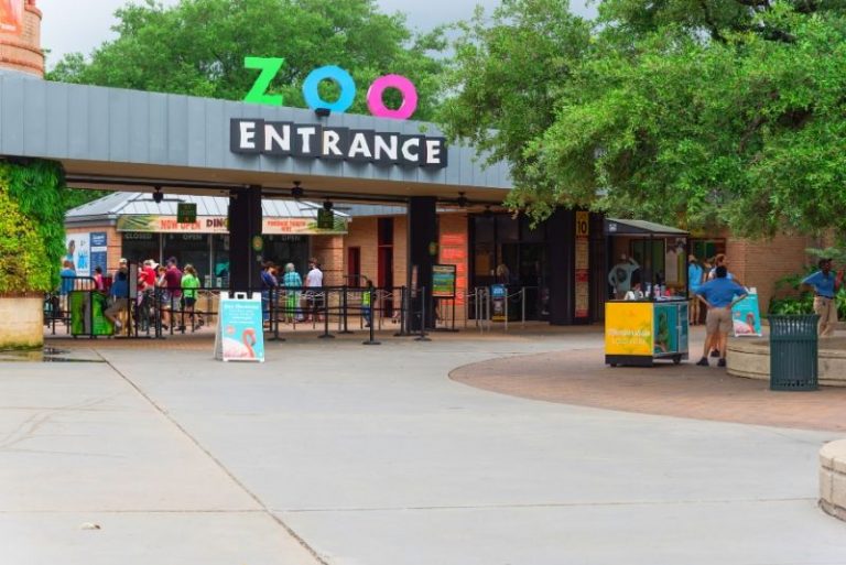 50 Best Zoos in the World 2024 TourScanner