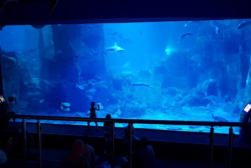 10 Largest Aquariums in the World (+Photos) - Touropia