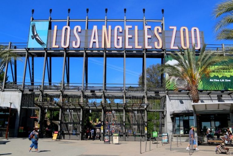 50 Best Zoos in the World 2023 TourScanner