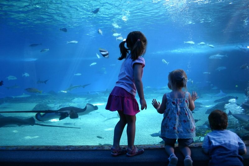 Maui Ocean Center, United States - #44 best aquariums in the world