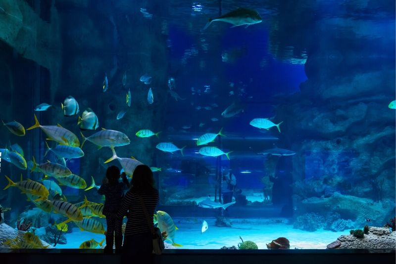 The most beautiful aquariums around the world, by The b, The b