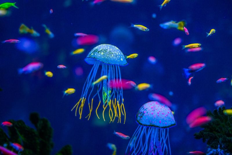 National Aquarium, United States - #47 best aquariums in the world