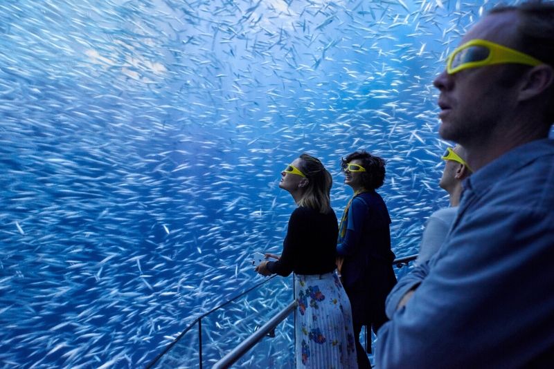 National Geographic Encounter, United States - #50 best aquariums in the world