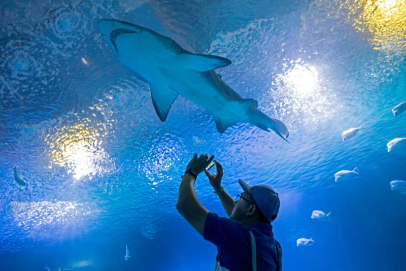 Oceanográfic, Spain - #6 best aquariums in the world