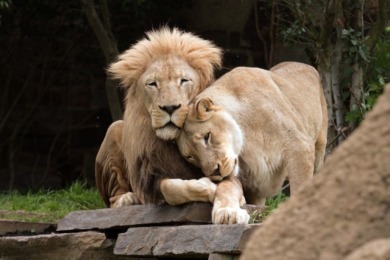 Philadelphia Zoo, USA