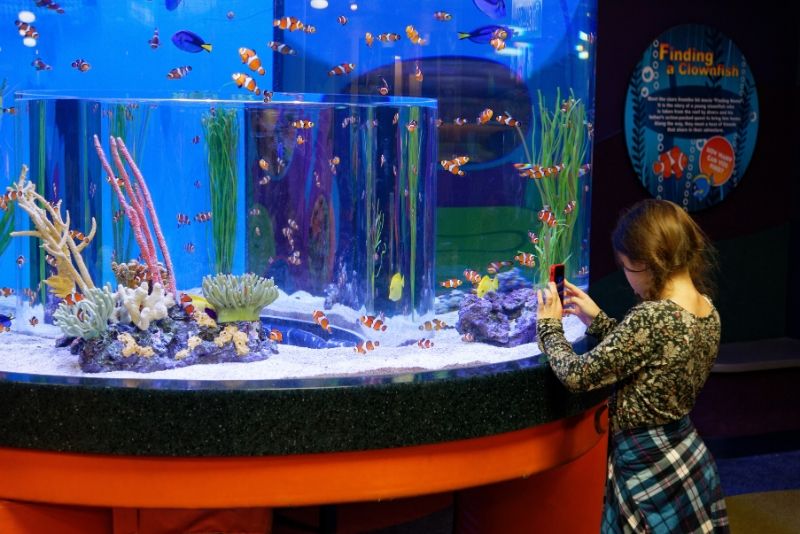 Top Aquariums to Visit