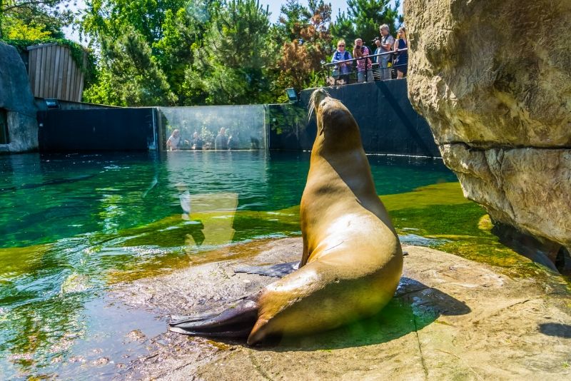 Rotterdam Zoo, Netherlands