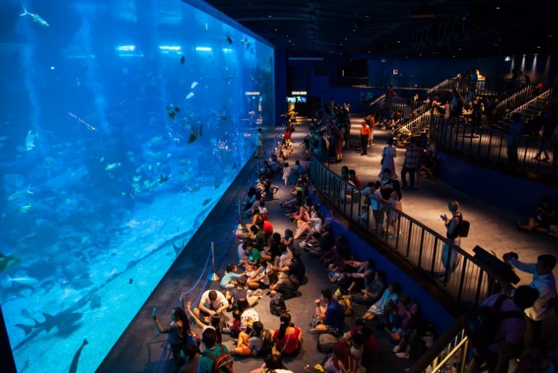 50 Best Aquariums in the World to Visit in 2020 - S.E.A. Aquarium Singapore