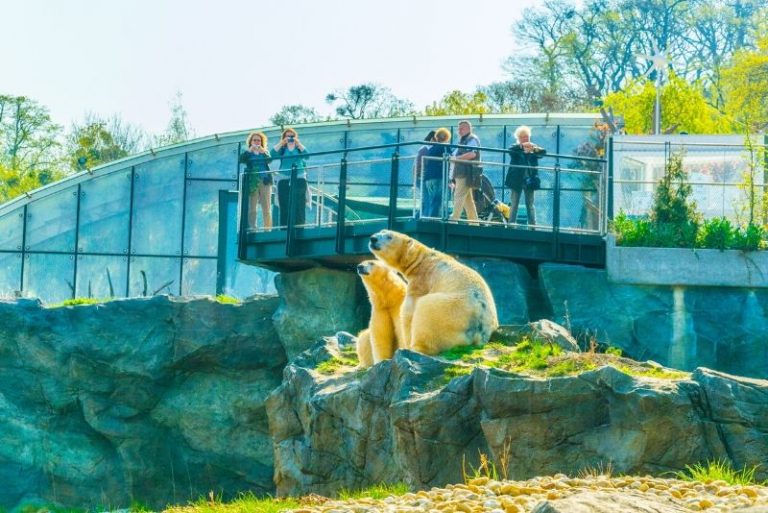 50 Best Zoos In The World 2023 - TourScanner