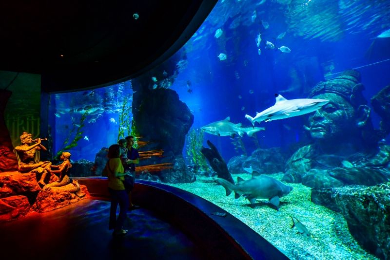 SEA LIFE Bangkok Ocean World, Thailand - #28 best aquariums in the world