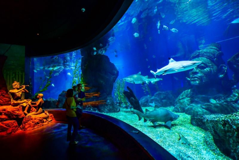 10 of the World's Most Impressive Aquariums