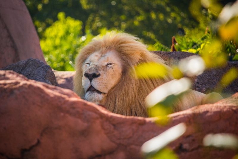 Toronto Zoo, Canada