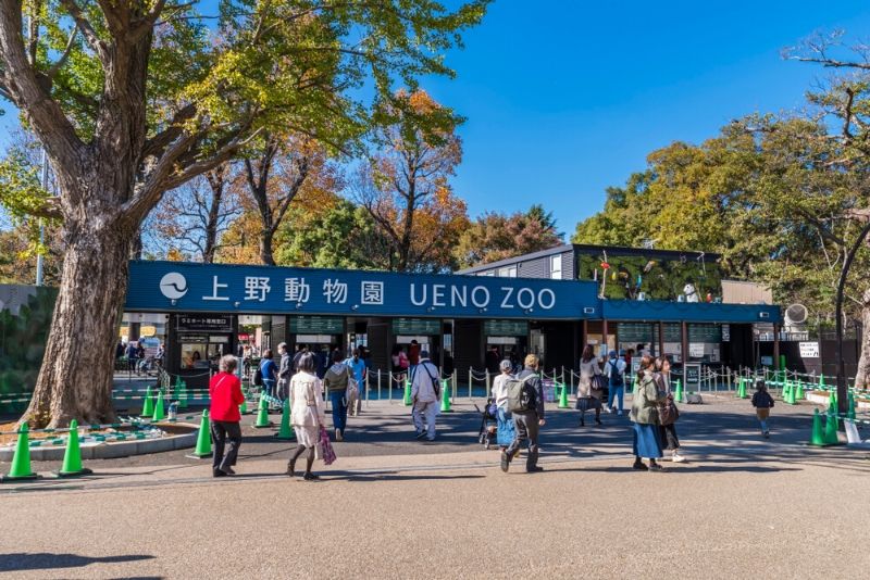 Ueno Zoo, Japan
