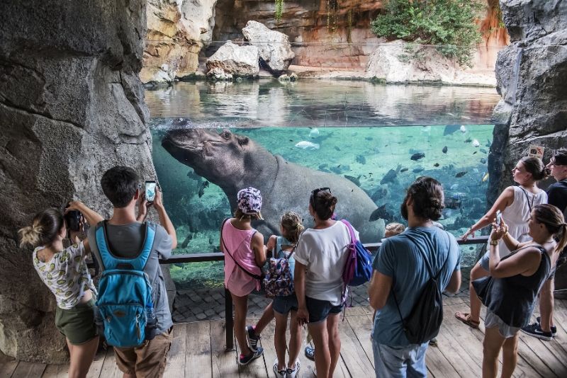 Valencia Bioparc, Spain