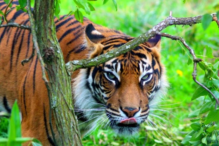 50 Best Zoos in the World 2023 - TourScanner