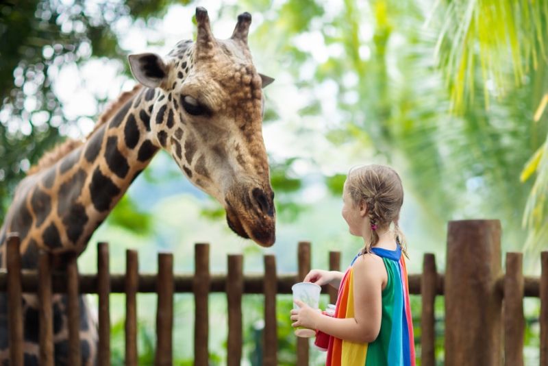 Zoo La Palmyre, France