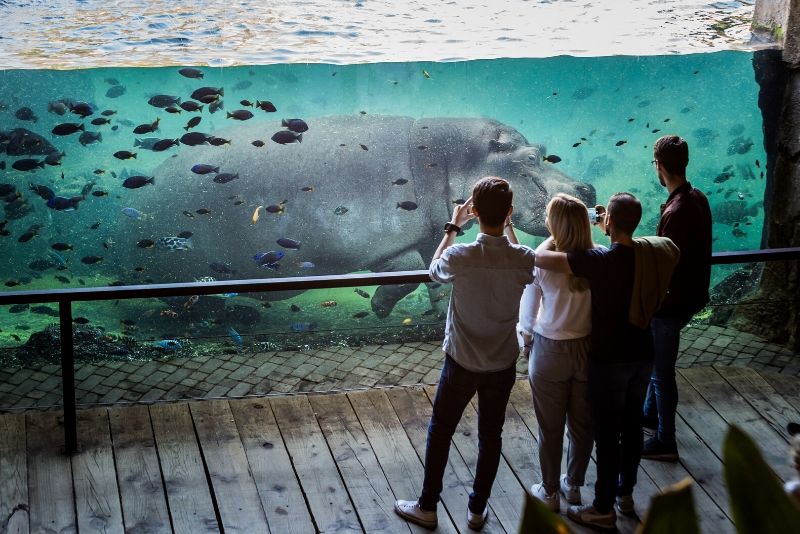 ZooParc de Beauval, France