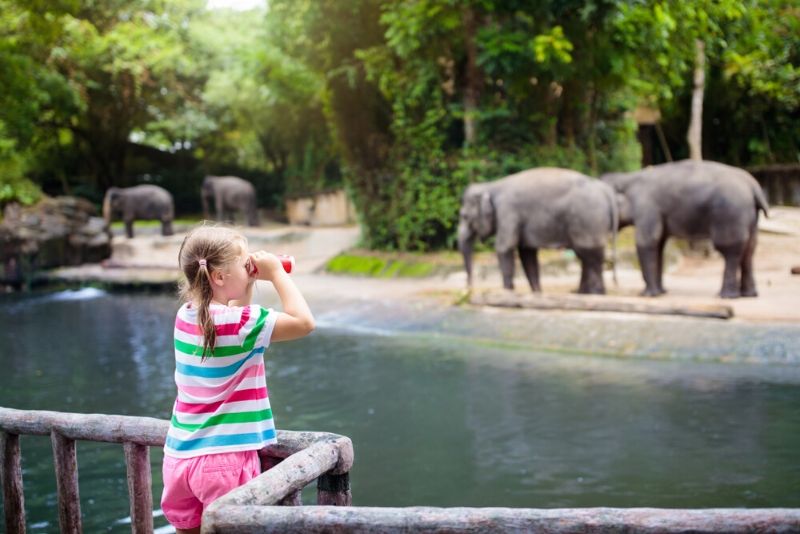 best time to visit zoo