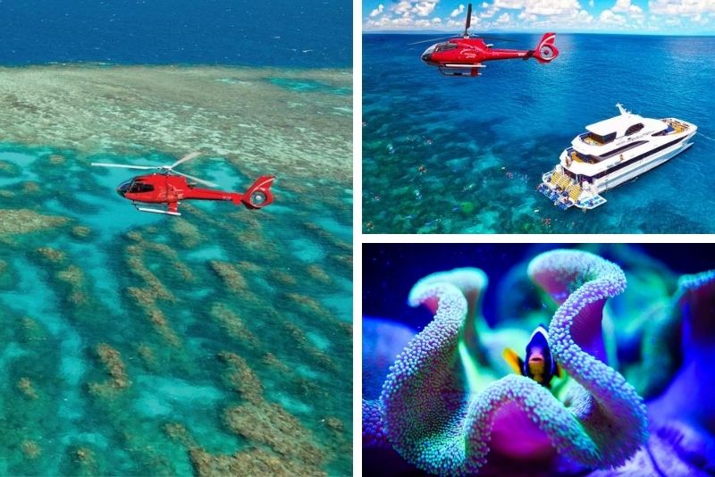 Barrier Reef Snorkeling with Helicopter, Cruise or Both