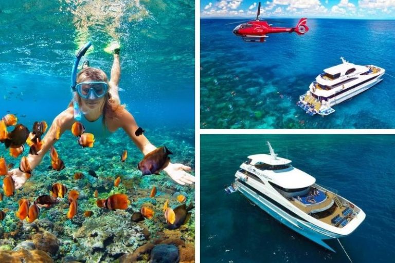 15 Best Great Barrier Reef Tours From Cairns - TourScanner