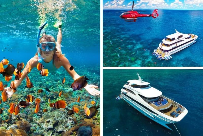 Cairns Outer Great Barrier Reef Full-Day Tour & Live Music