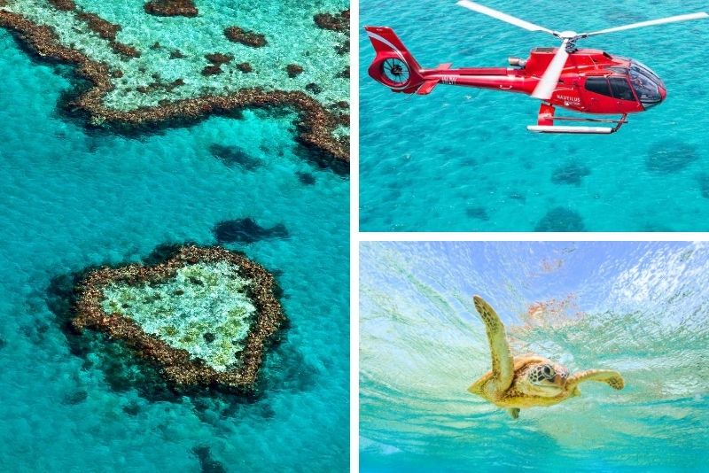 Outer Great Barrier Reef Cruise Including Scenic Heli Flight