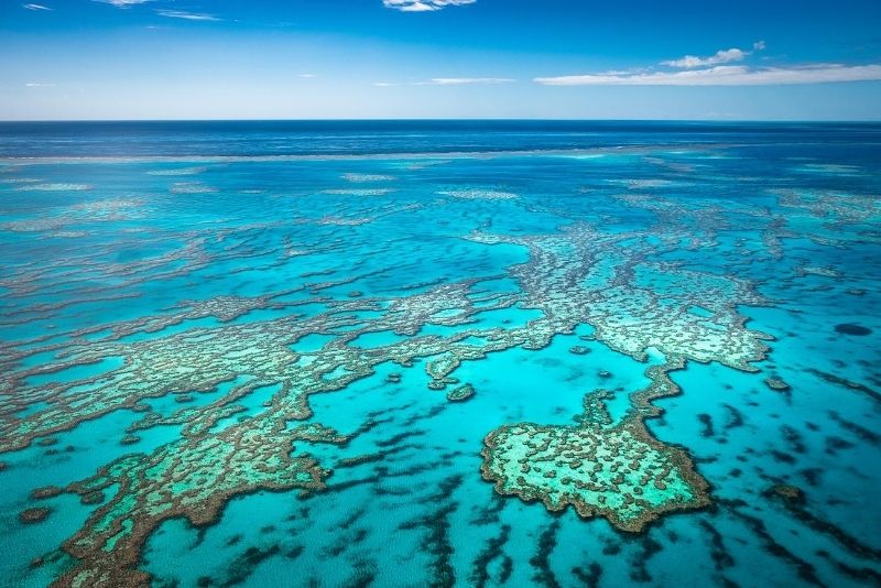 coral reef trip cairns