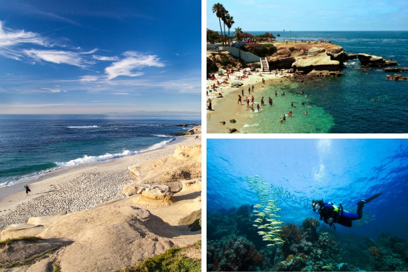 La Jolla beach-goers, be on the lookout for colorful