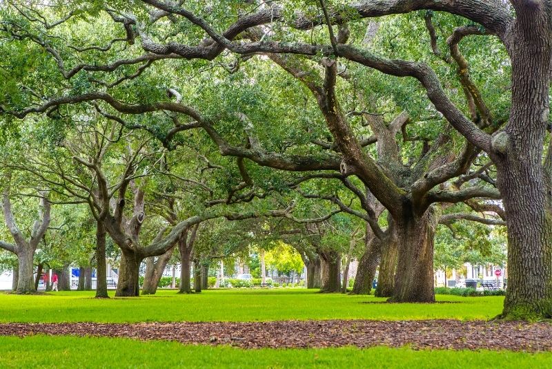 Battery & White Point Gardens, Charleston