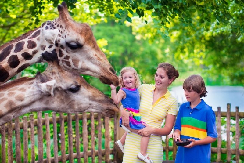 Brookfield Zoo, Chicago