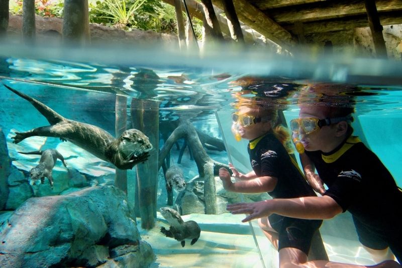 Discovery Cove, Orlando