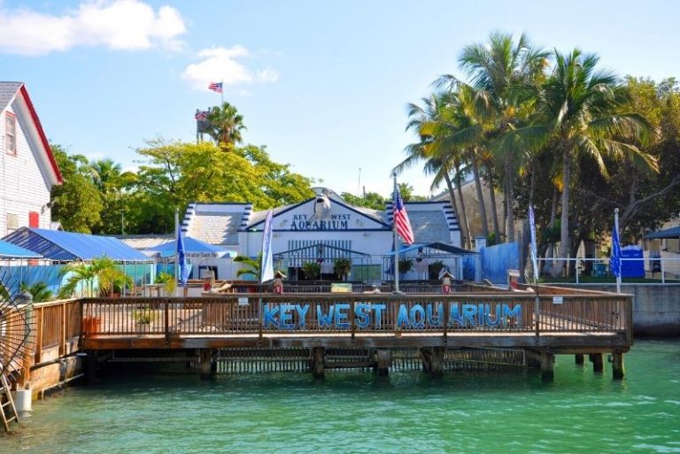 57 Fun Things to Do in Key West (Florida) - TourScanner