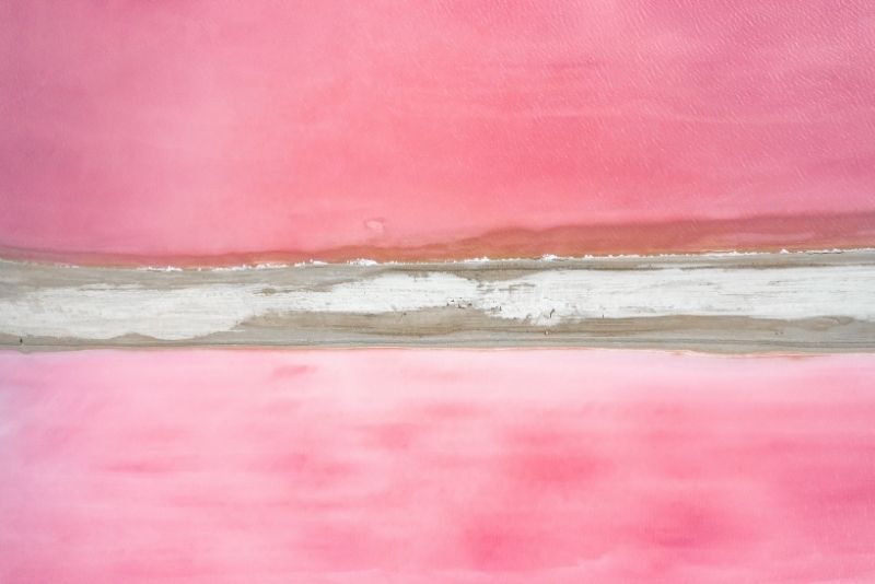 Las Coloradas day trip from Cancun