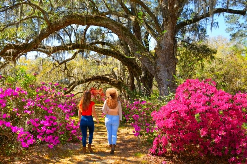 Magnolia Plantation & Gardens, Charleston