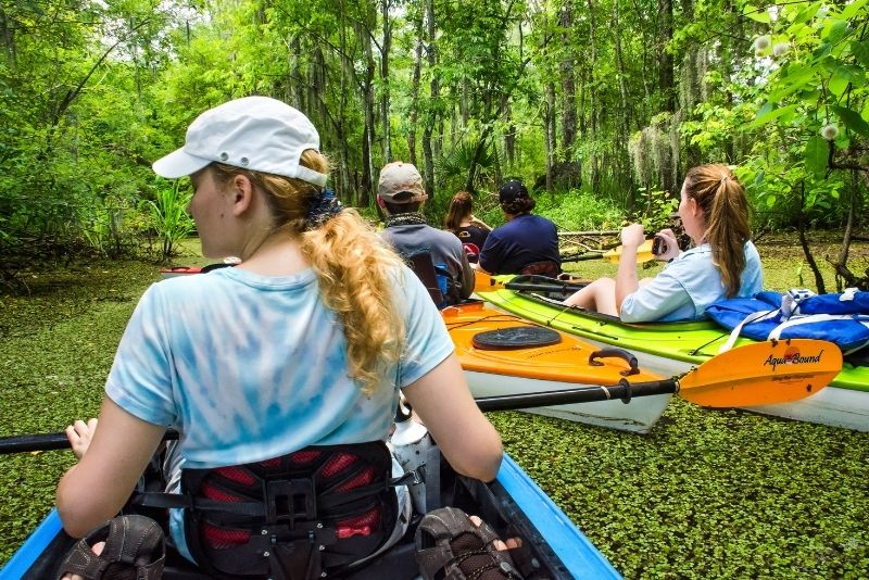 Manchac swamp kayak tour near New Orleans