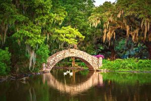 90 Fun & Unusual Things to Do in New Orleans - TourScanner