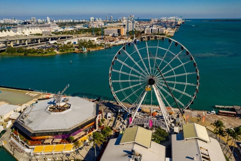 58 Fun & Unusual Things to Do in Miami (Florida) TourScanner