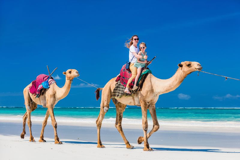 camel riding in Cancun