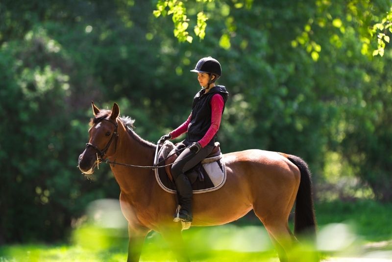 horse riding, Orlando