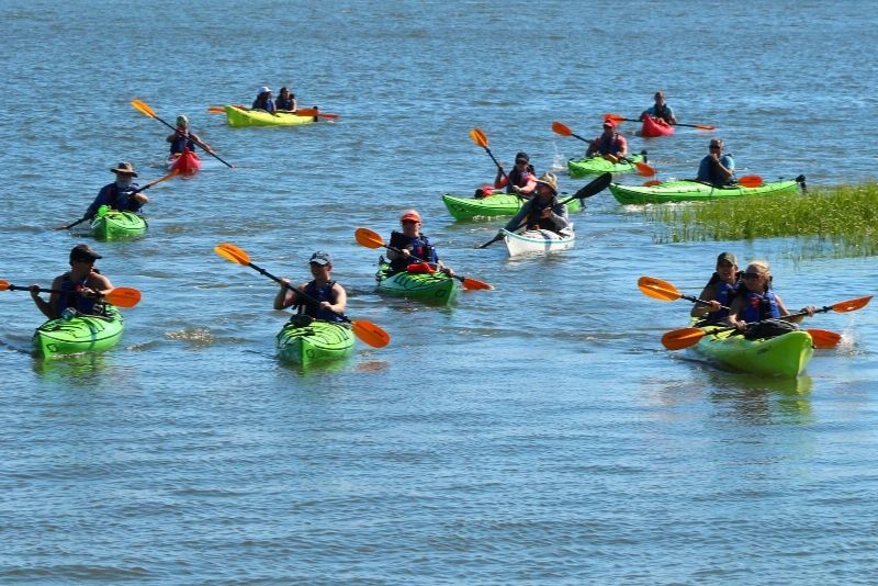 kayak tour in Charleston